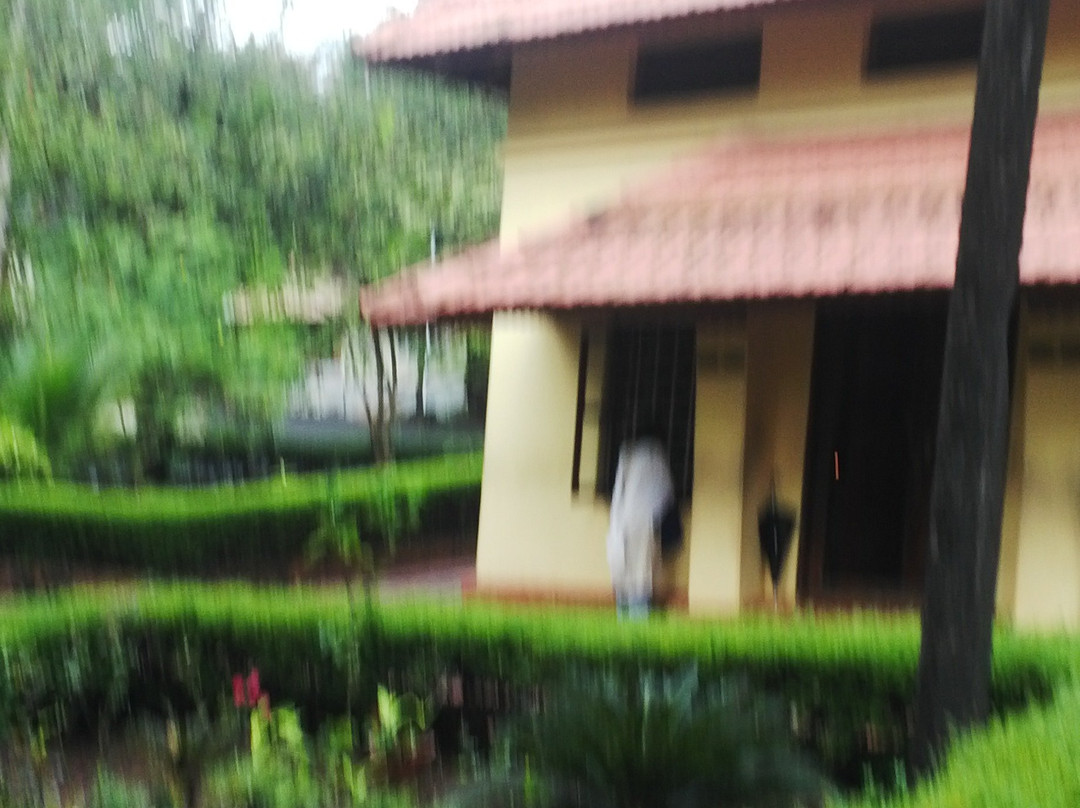 Anandashram景点图片