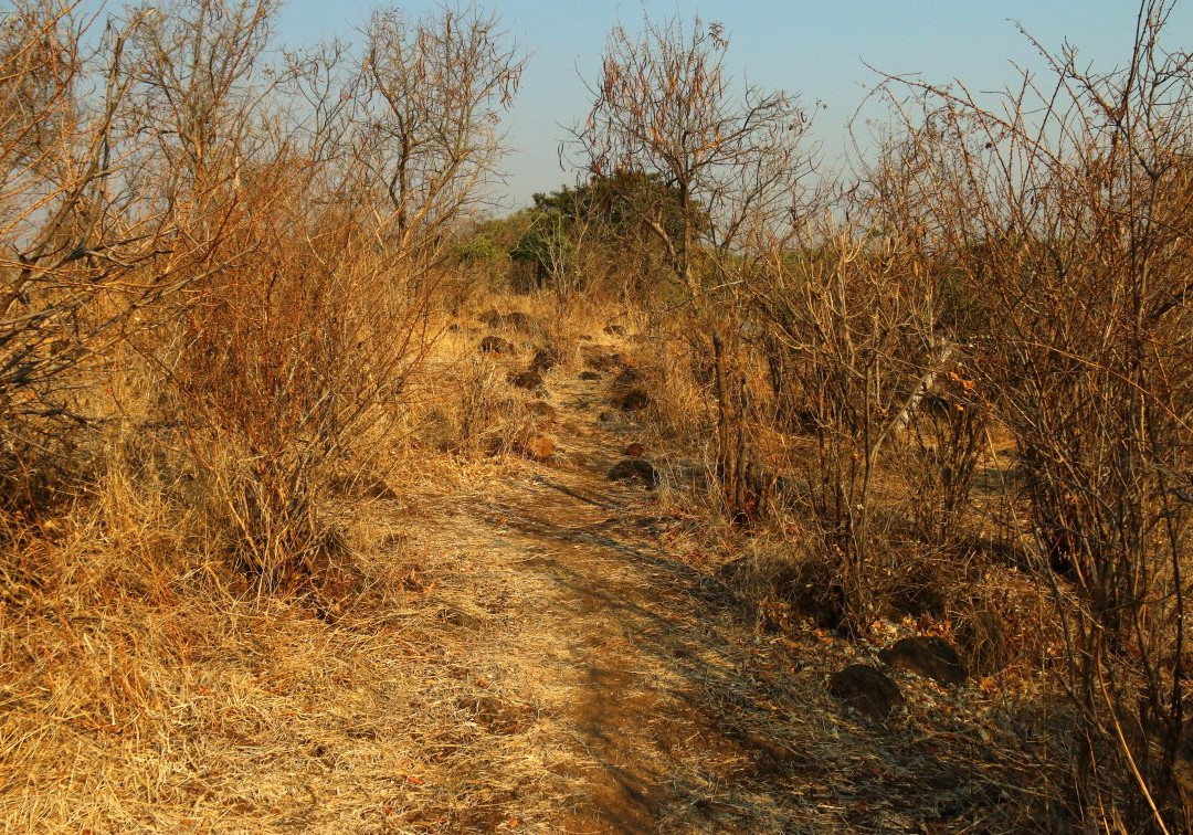 Seboba Nature and Recreational Park景点图片