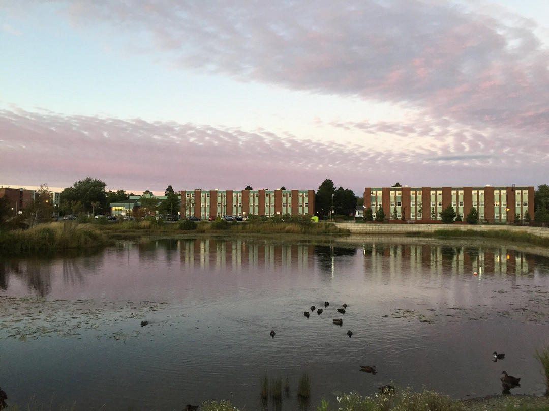 Memorial University of Newfoundland-圣约翰必去景点