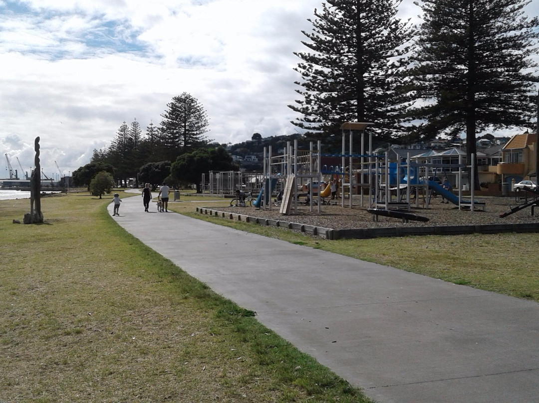 Spriggs Park Reserve Playground景点图片