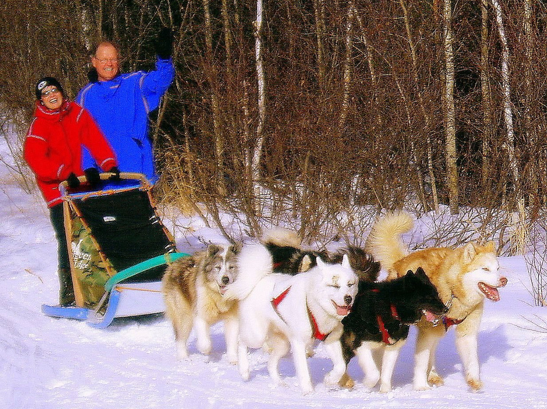 Wintergreen Dogsled Day Trips-伊利必去景点