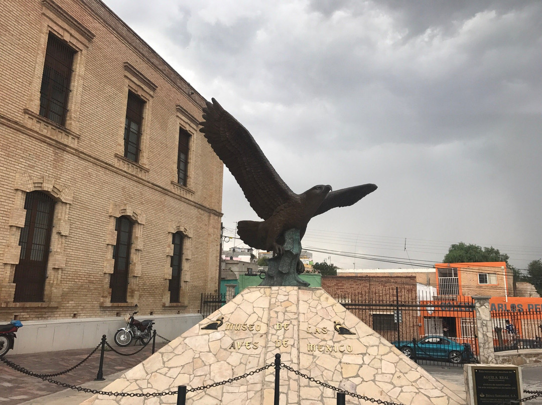 Museo de las Aves-萨尔蒂必去景点