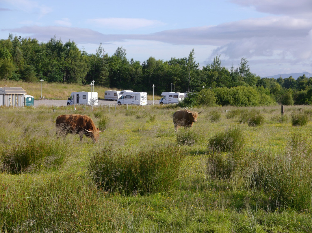 The Wheel Caravan Park & Campsite