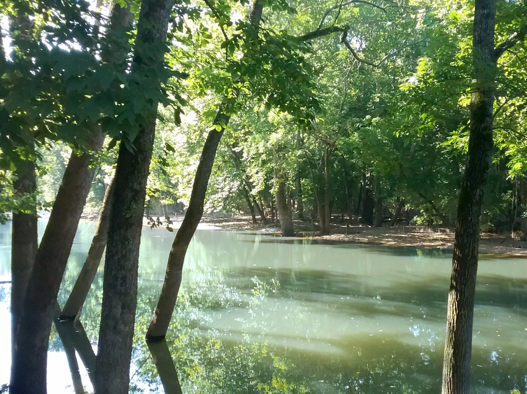 Susan Morrison's Signature Gallery-尤里卡斯普林斯必去景点