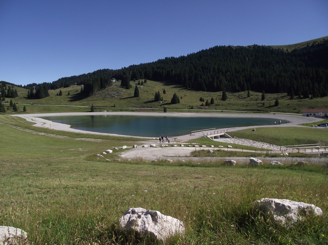 Giardino Botanico di Passo Coe - Fondazione Museo Civico di Rovereto景点图片