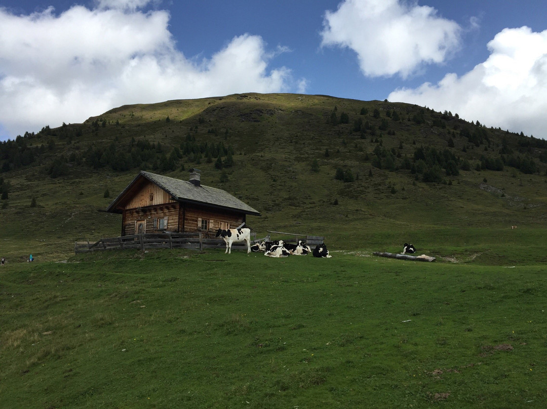 Malghe di Nemes e Coltrondo dal Passo di Monte Croce Comelico景点图片