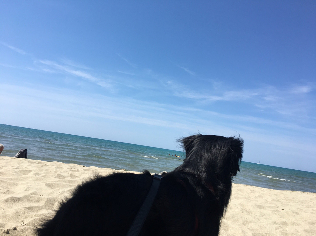 Spiaggia Libera景点图片