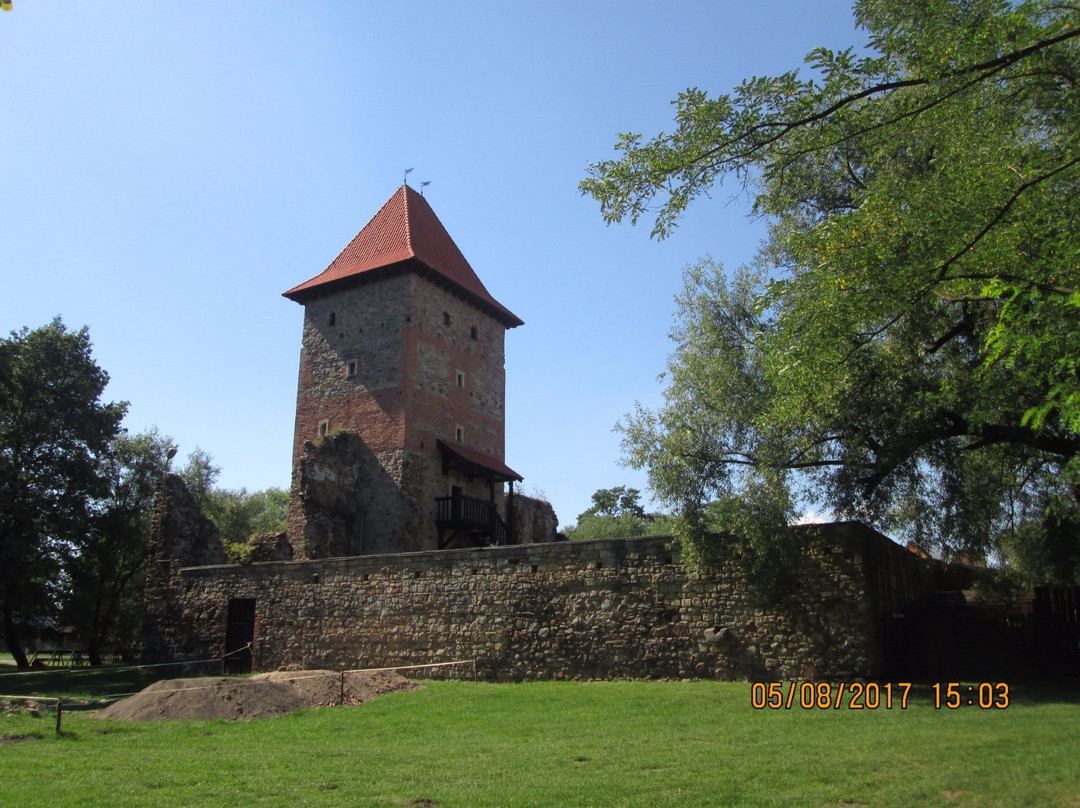 Castle in Chudowa景点图片