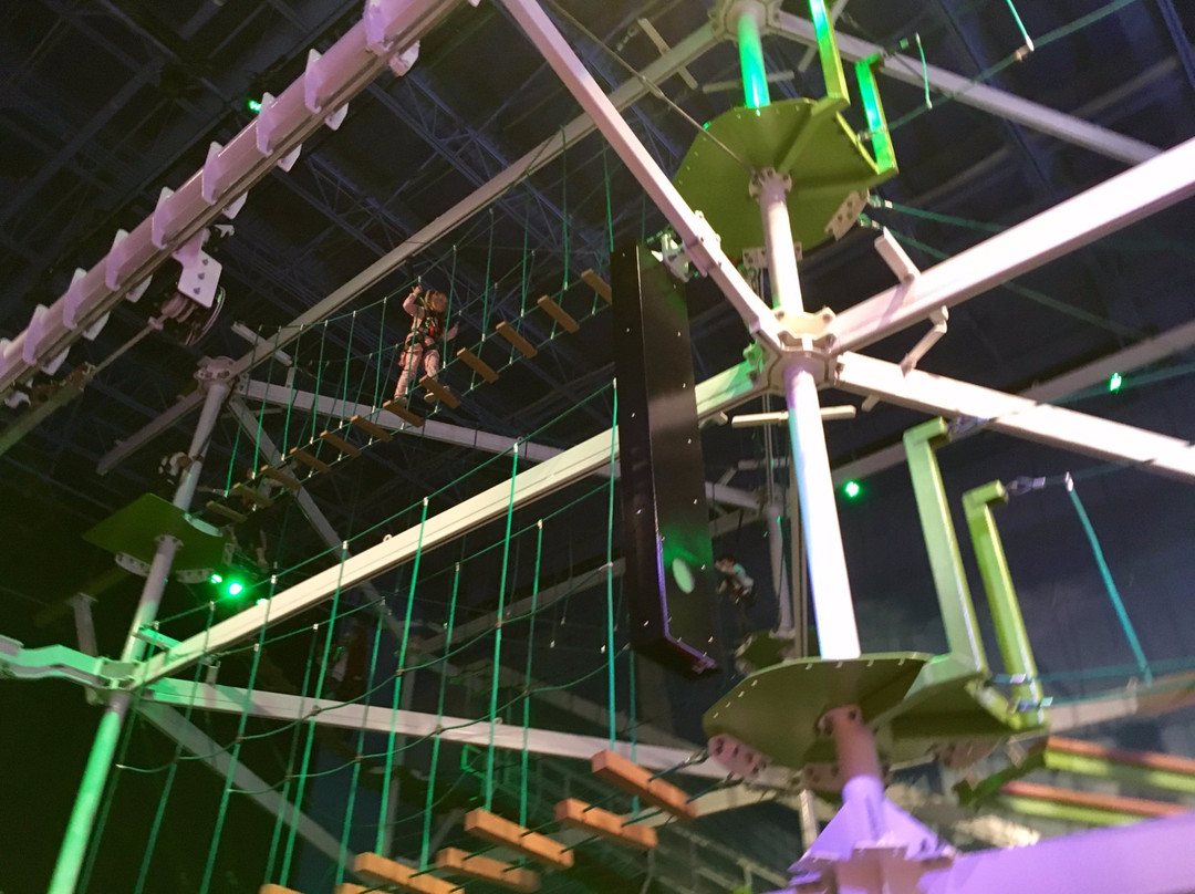 Beanstalk Adventure Ropes Course-Reading必去景点