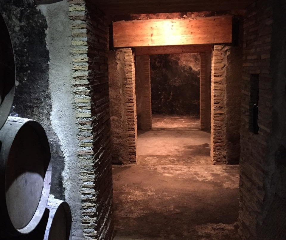 Bodegas Osca景点图片
