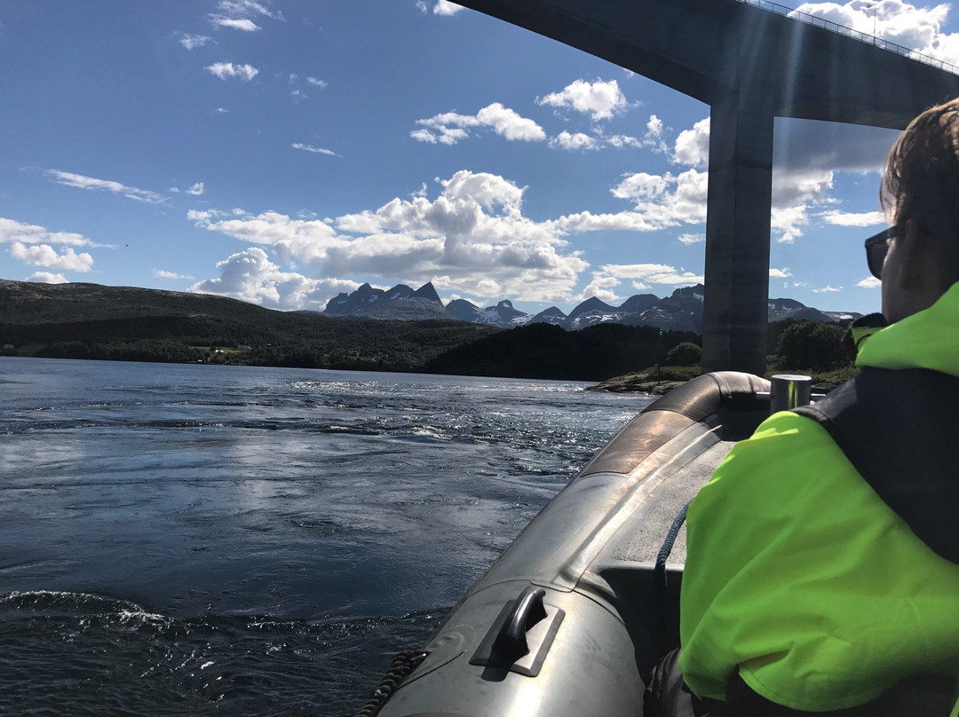 Arctic Rib Event景点图片