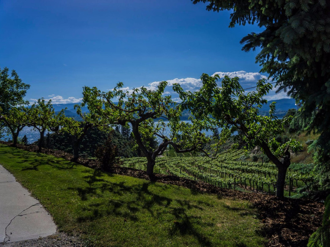 Kettle Valley Winery景点图片
