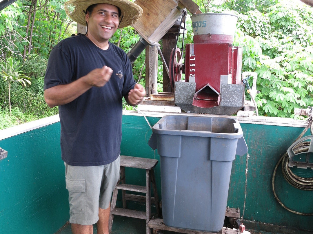 Pele Plantations-卡慕也拉必去景点