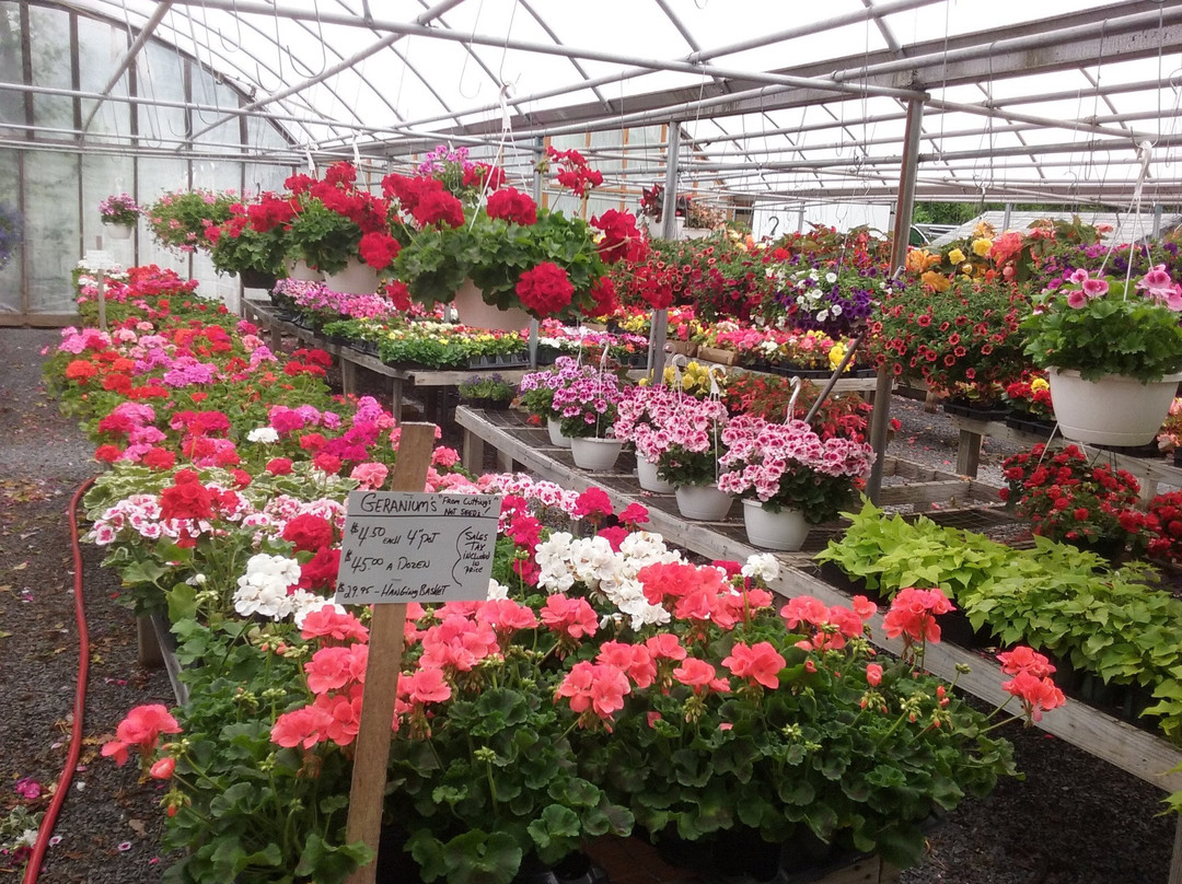 Vinnie's Farm Market-Saugerties必去景点