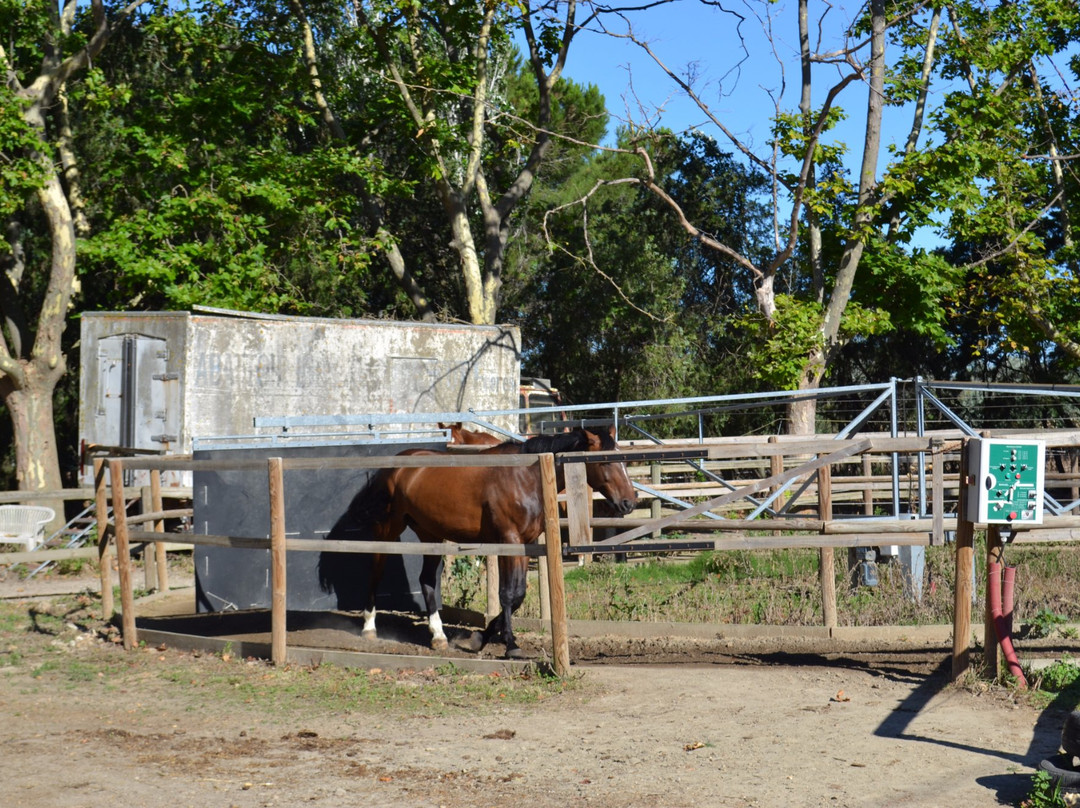 Centre équestre des Pyramides-拉格朗德默特必去景点