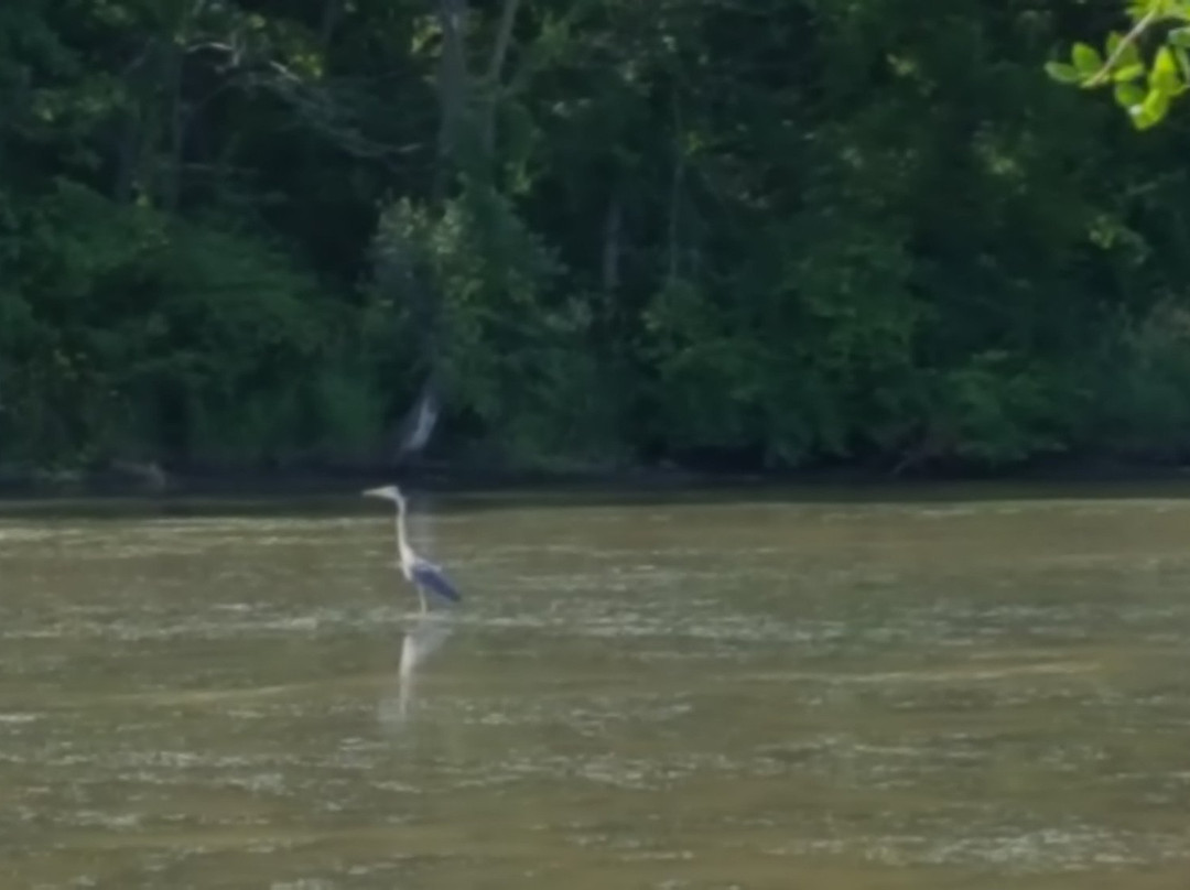 Diamond Lake Park-Montezuma必去景点