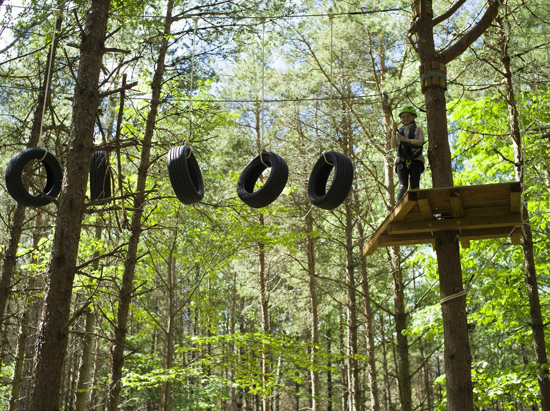 K-Pargi Kuressaare Adventure Park景点图片