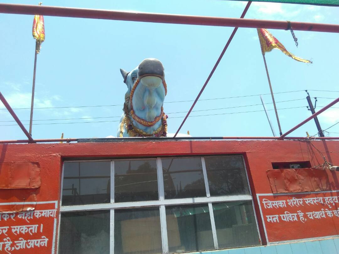 Banjari Mata Mandir景点图片