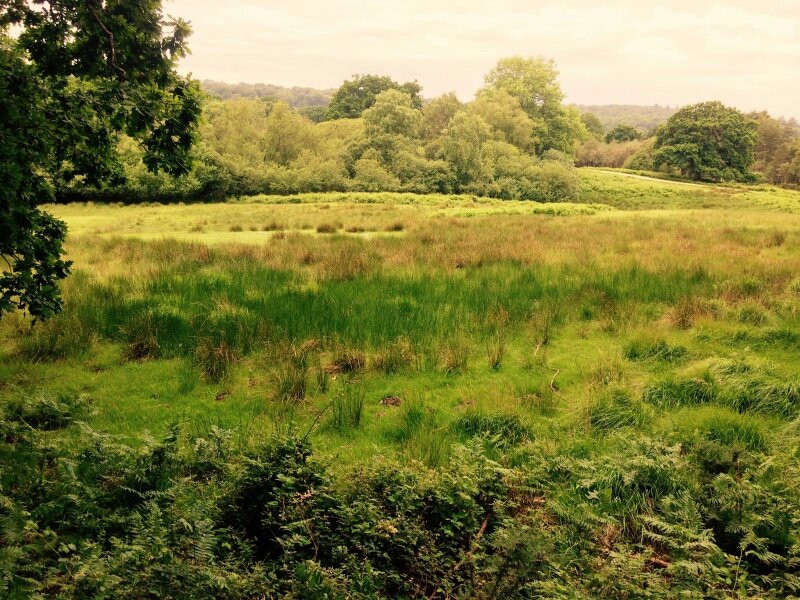 Royal Oak Pub-林德赫斯特必去景点