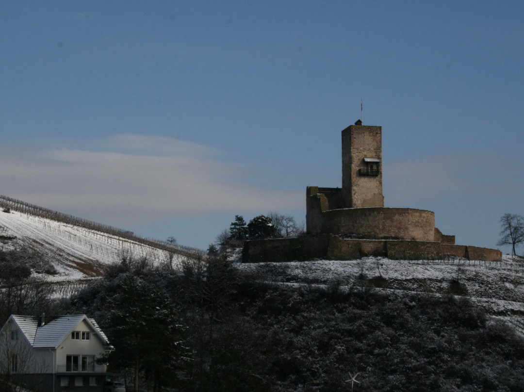 Château du Wineck景点图片