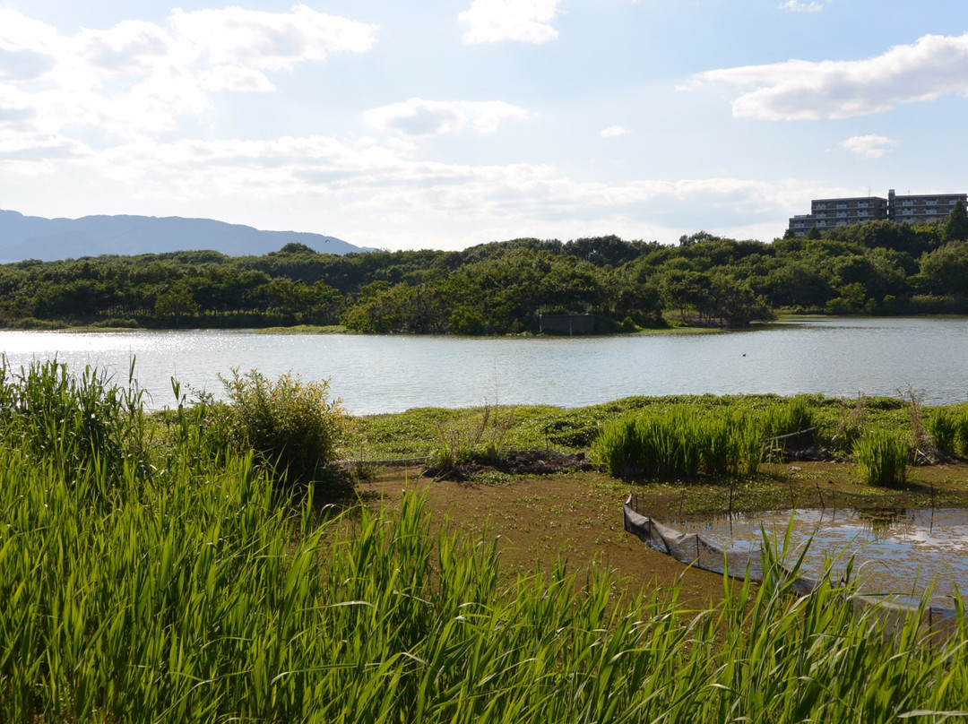Koyaike Park-伊丹市必去景点