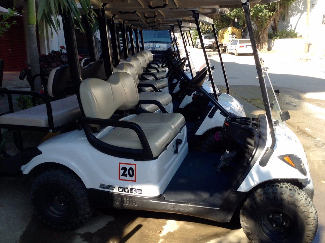 Town Around - Golf Carts Rentals景点图片