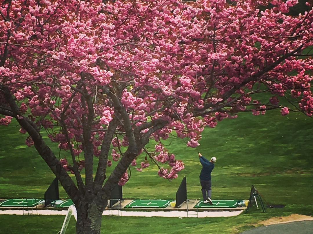 Olde Barnstable Fairgrounds Golf Course景点图片