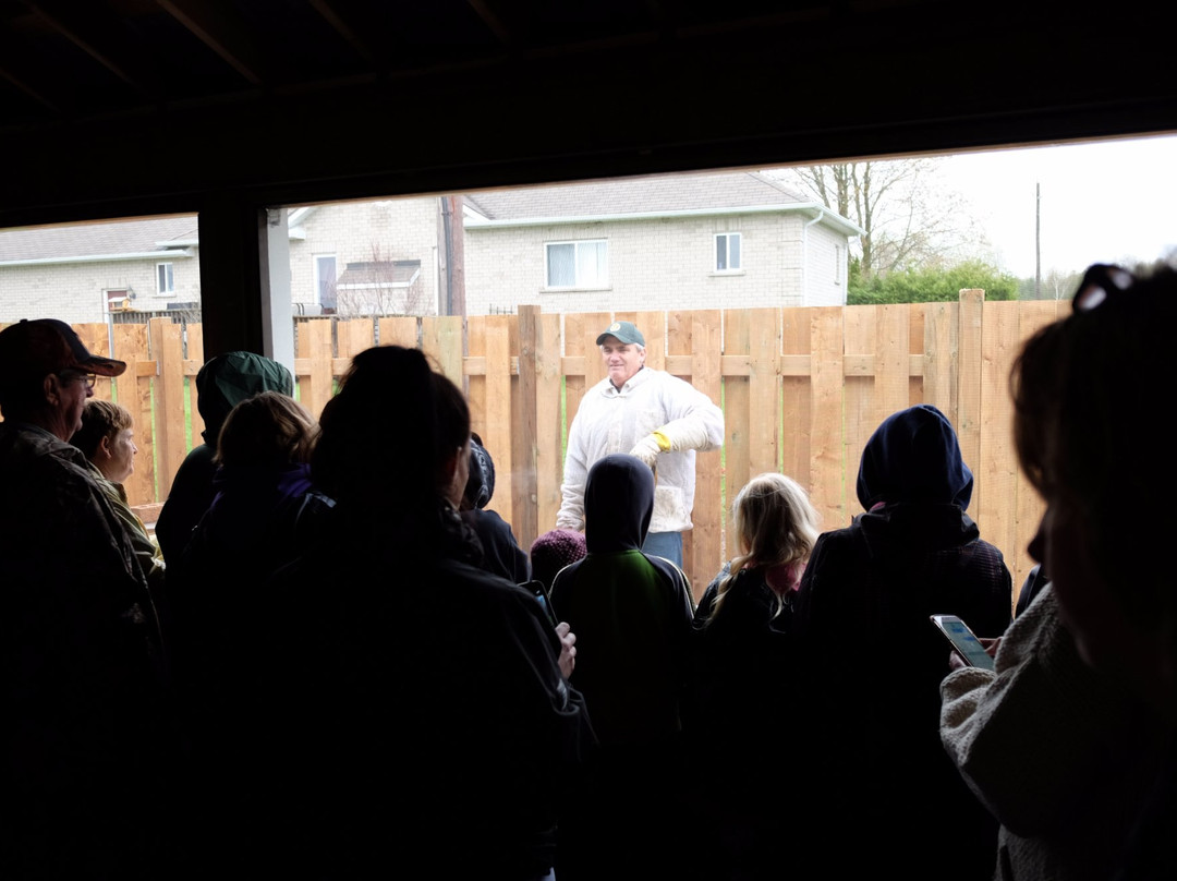 Kendal旅游攻略图片