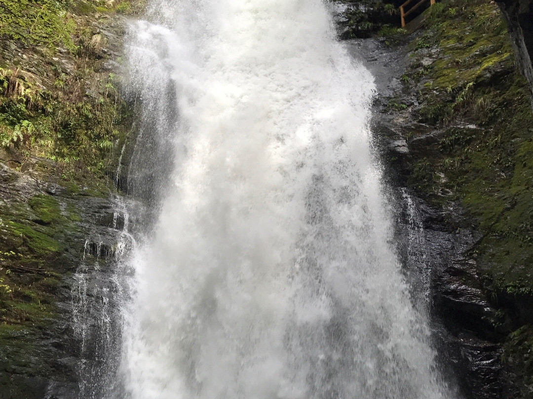 Seirei no Taki Waterfall景点图片