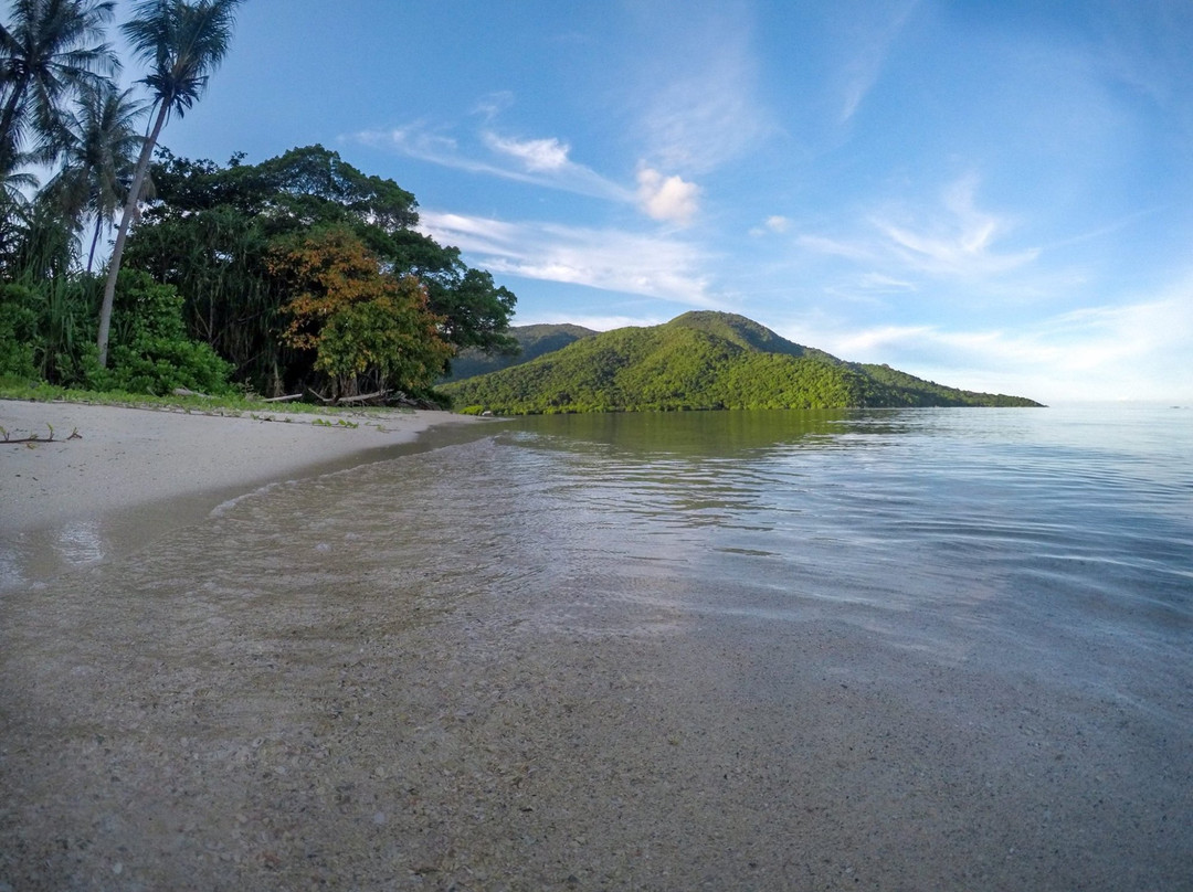 Dolphin Karimunjawa-卡里蒙加瓦必去景点