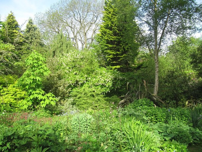 Moors Meadow Gardens景点图片