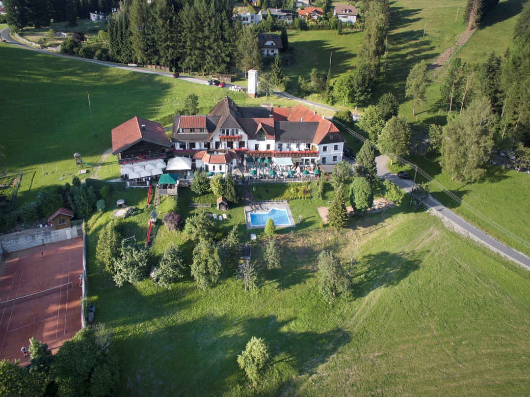 Eidenberg餐馆和美食-Eidenberger Alm