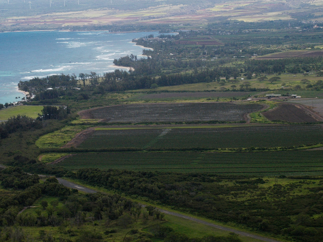 Keālia Trail-Mokuleia必去景点