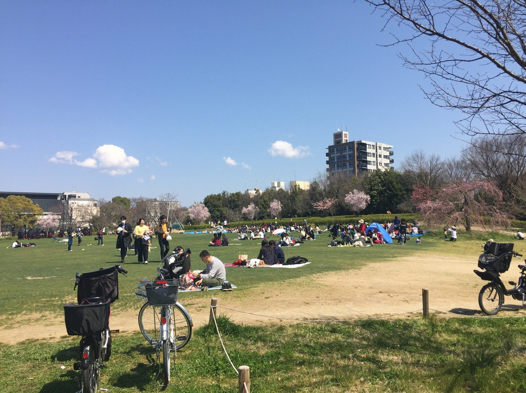 Umekoji Park景点图片