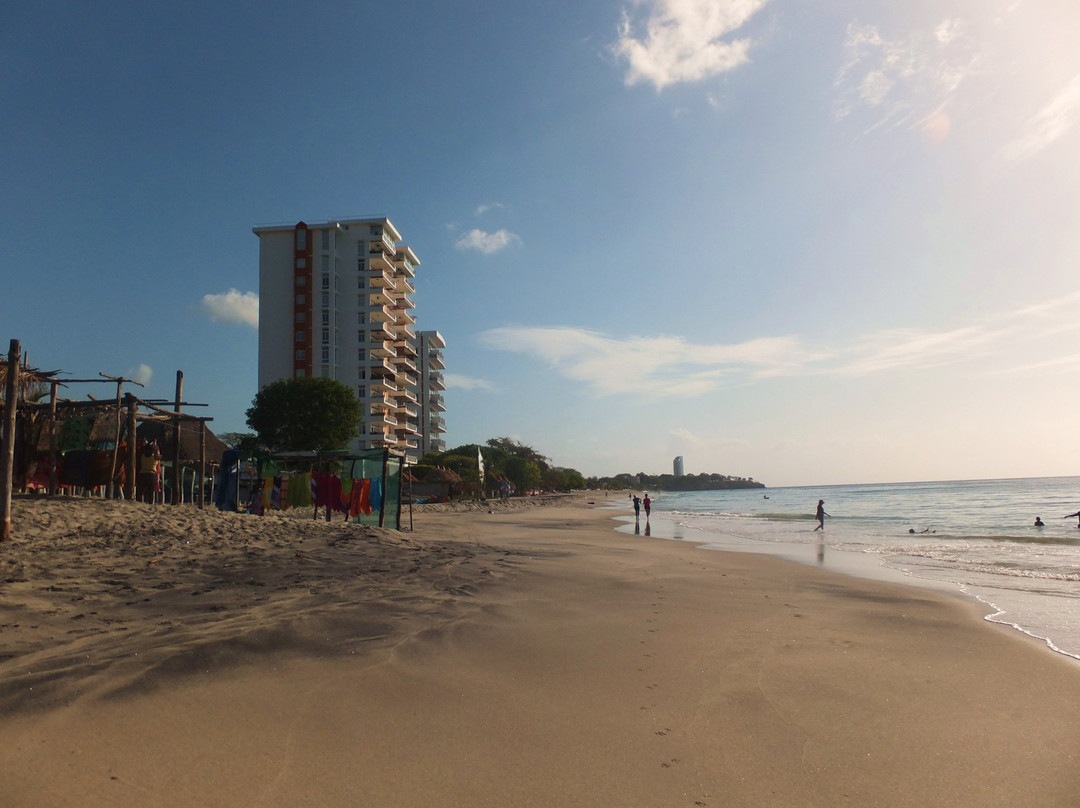 Palmer Beach景点图片