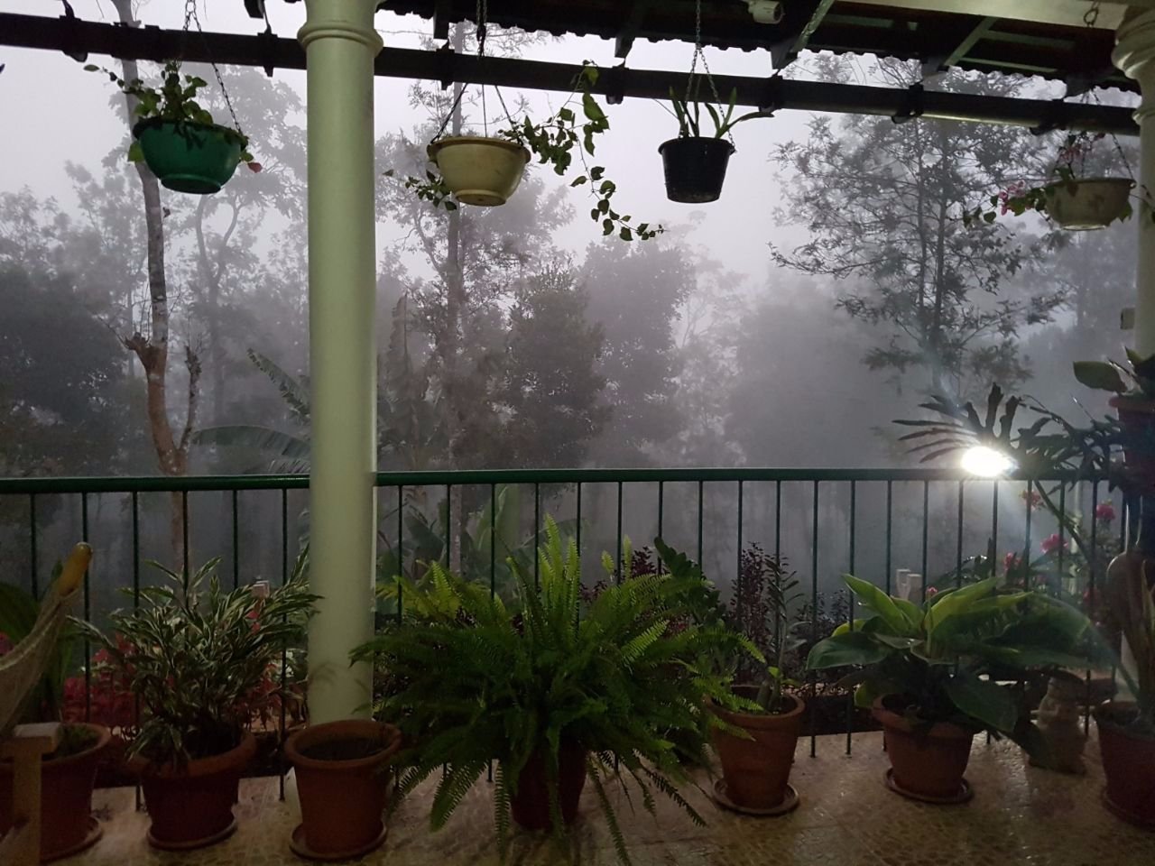 Coorg Berry Lane-酒店景观