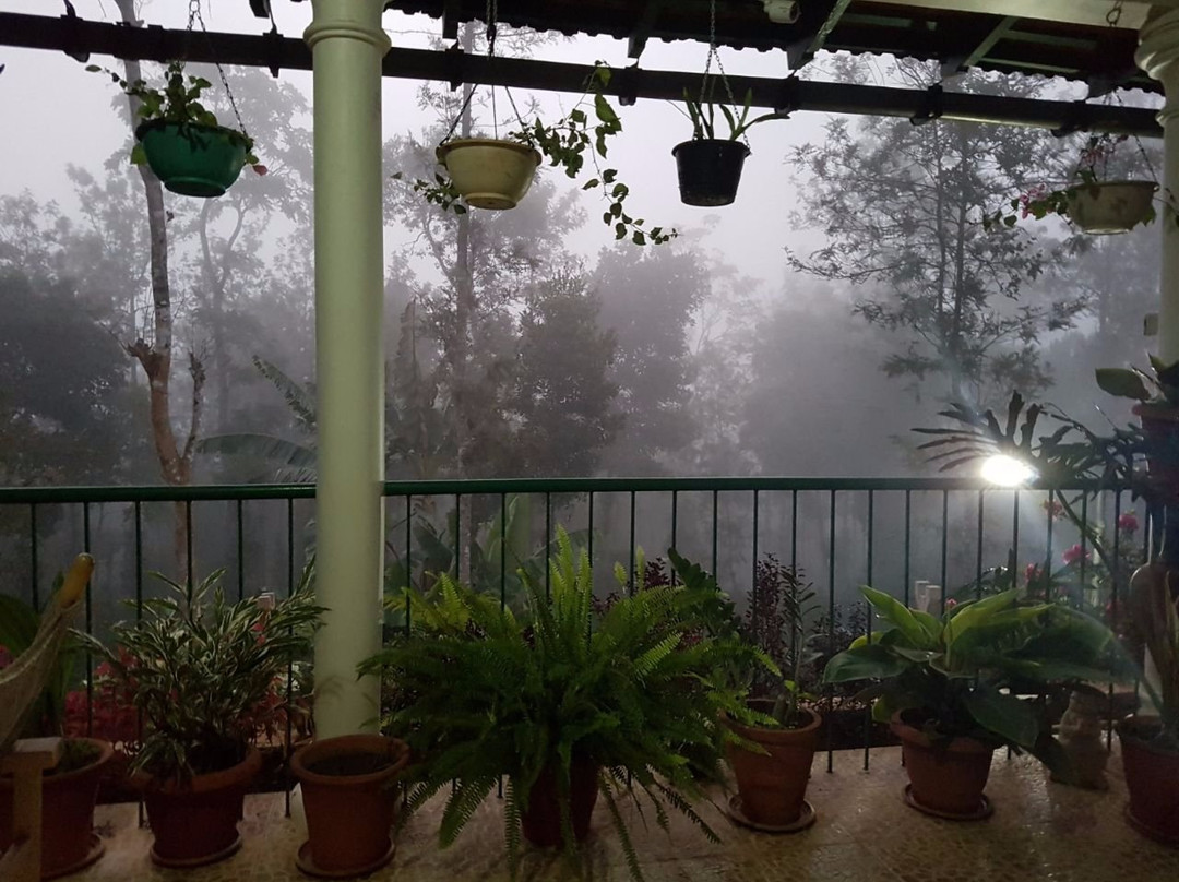 Coorg Berry Lane主图