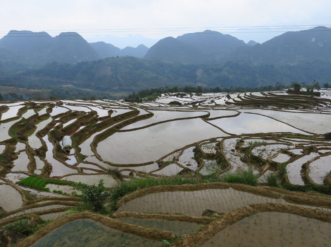 Pu Luong Nature Reserve景点图片