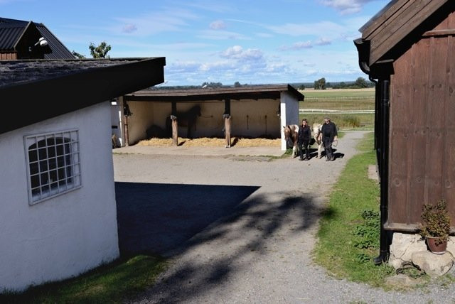 Vallerödslunds Islandshästar景点图片
