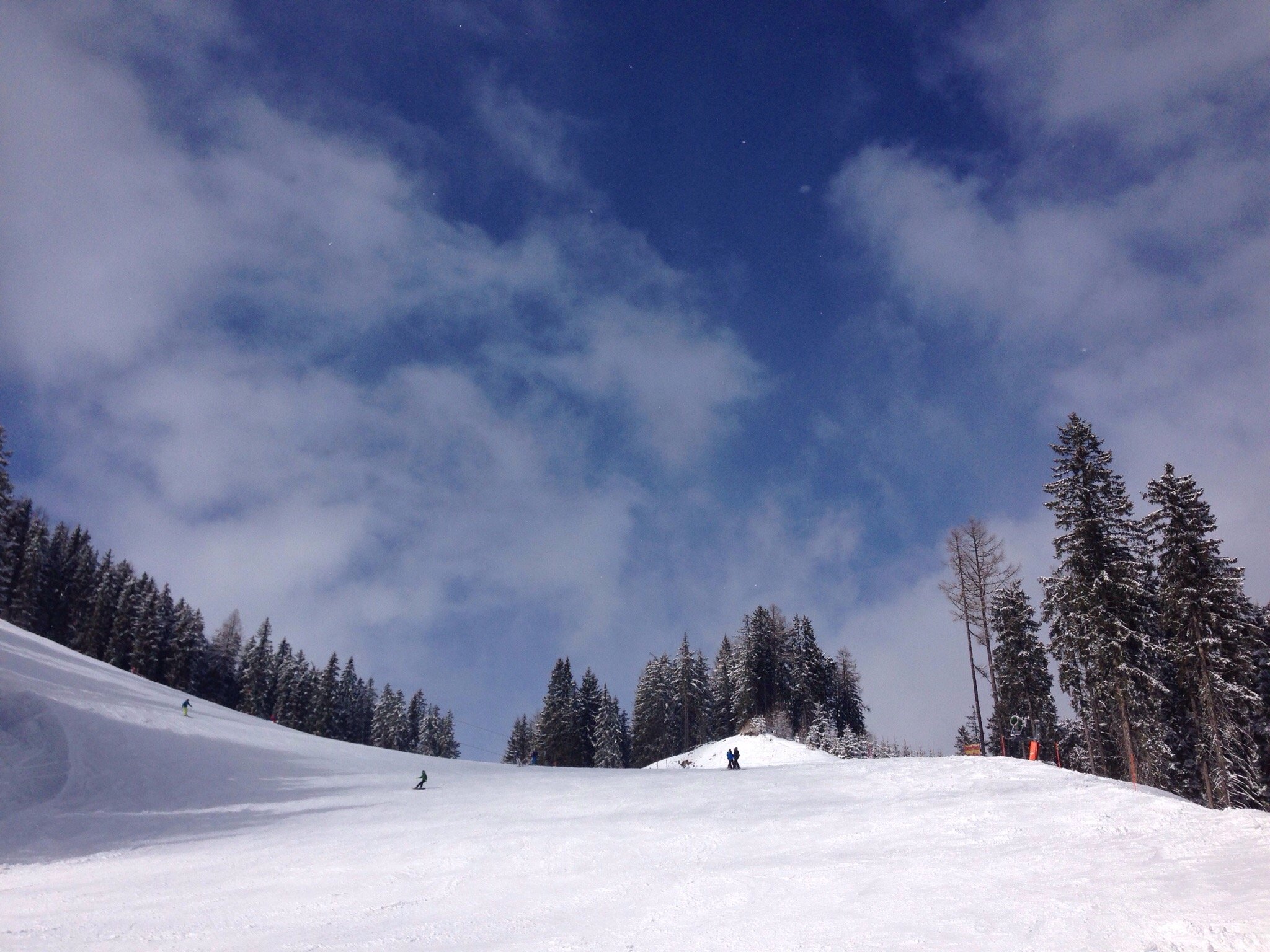 Pension Waldesruh/Halseralm-官方