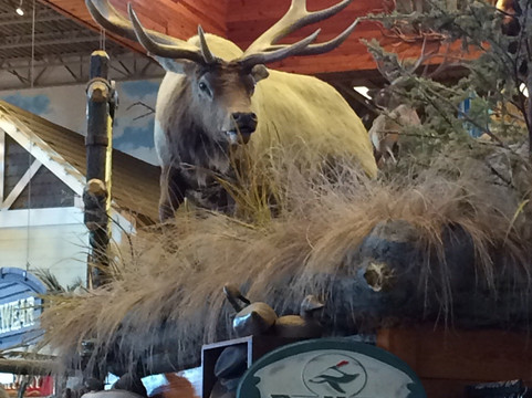 The Rim-圣安东尼奥市必去景点