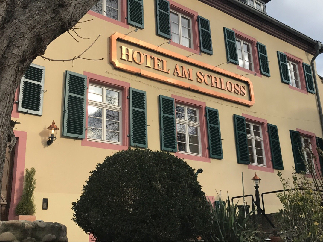 Hotel Am Schloss主图