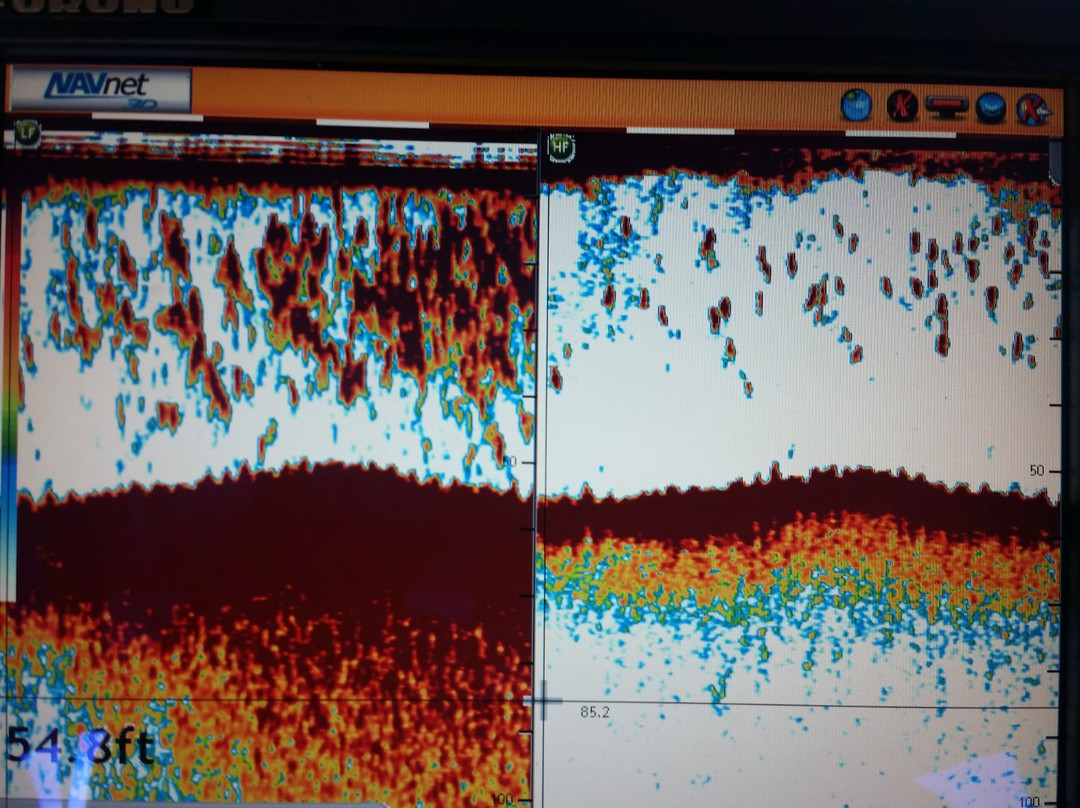 Giant Bluefin Tuna Charters-安蒂岗尼希必去景点