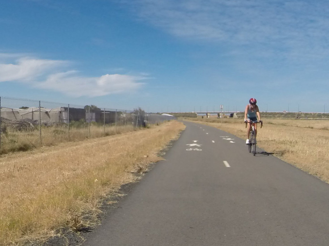 Stuart O'Grady Bikeway景点图片
