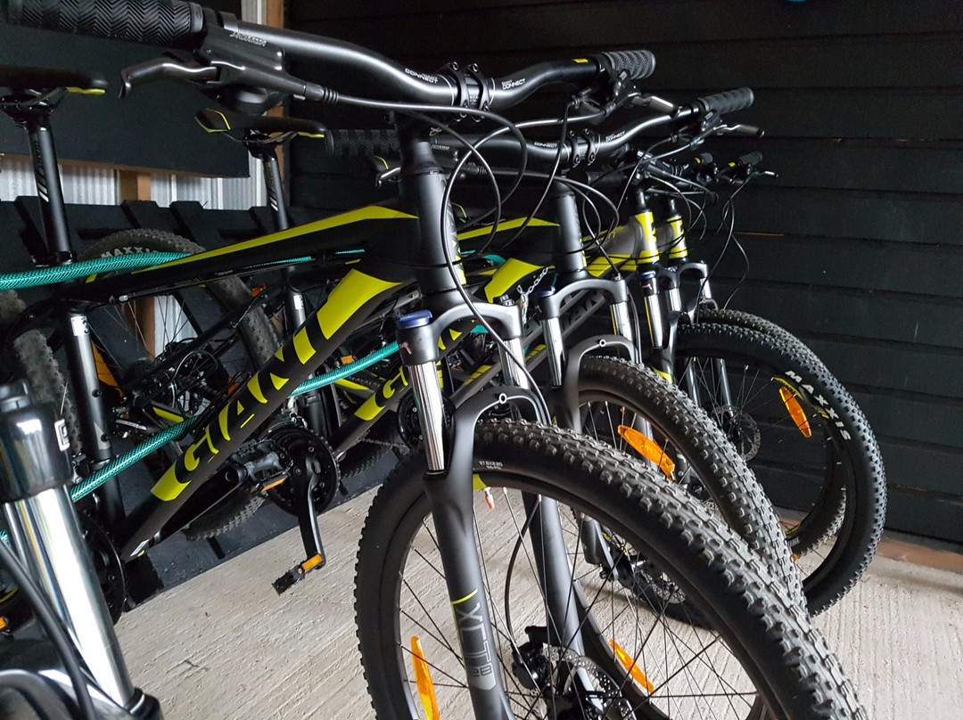 Puihua Expeditions-Lago Ranco必去景点