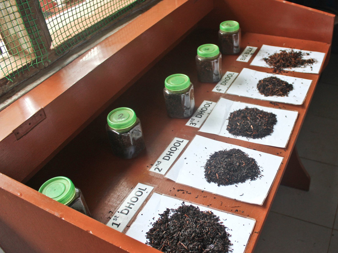 Orange Field Tea Factory景点图片
