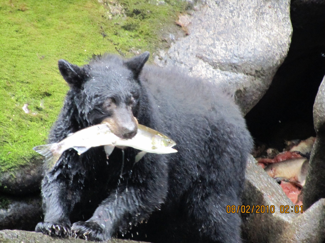 Summit Charters-Wrangell必去景点