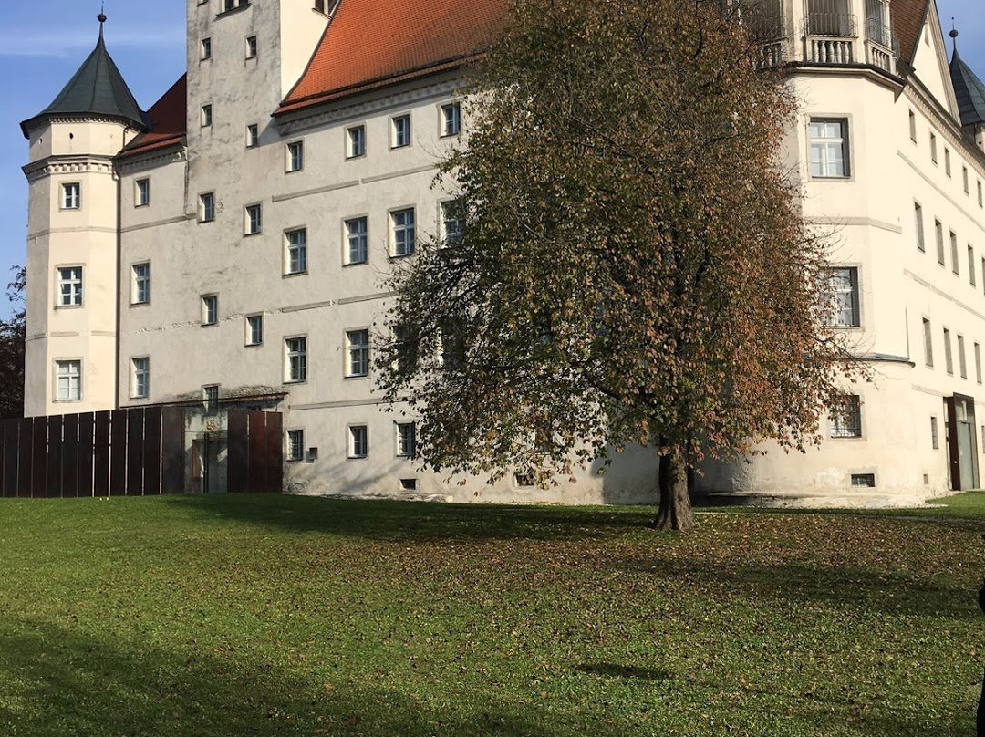 Lern- und Gedenkort Schloss Hartheim-Alkoven必去景点