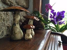 Atelier Cristina Claro-Vila Vicosa必去景点