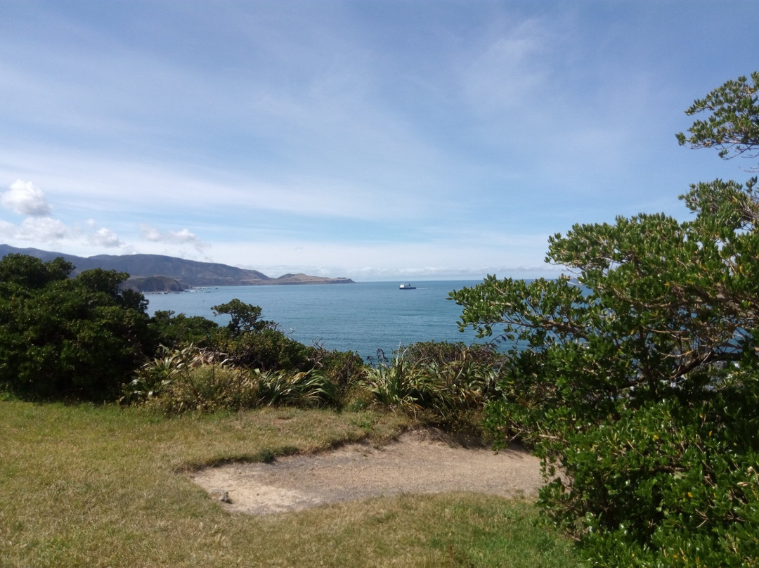 Tarakena Bay-惠灵顿必去景点